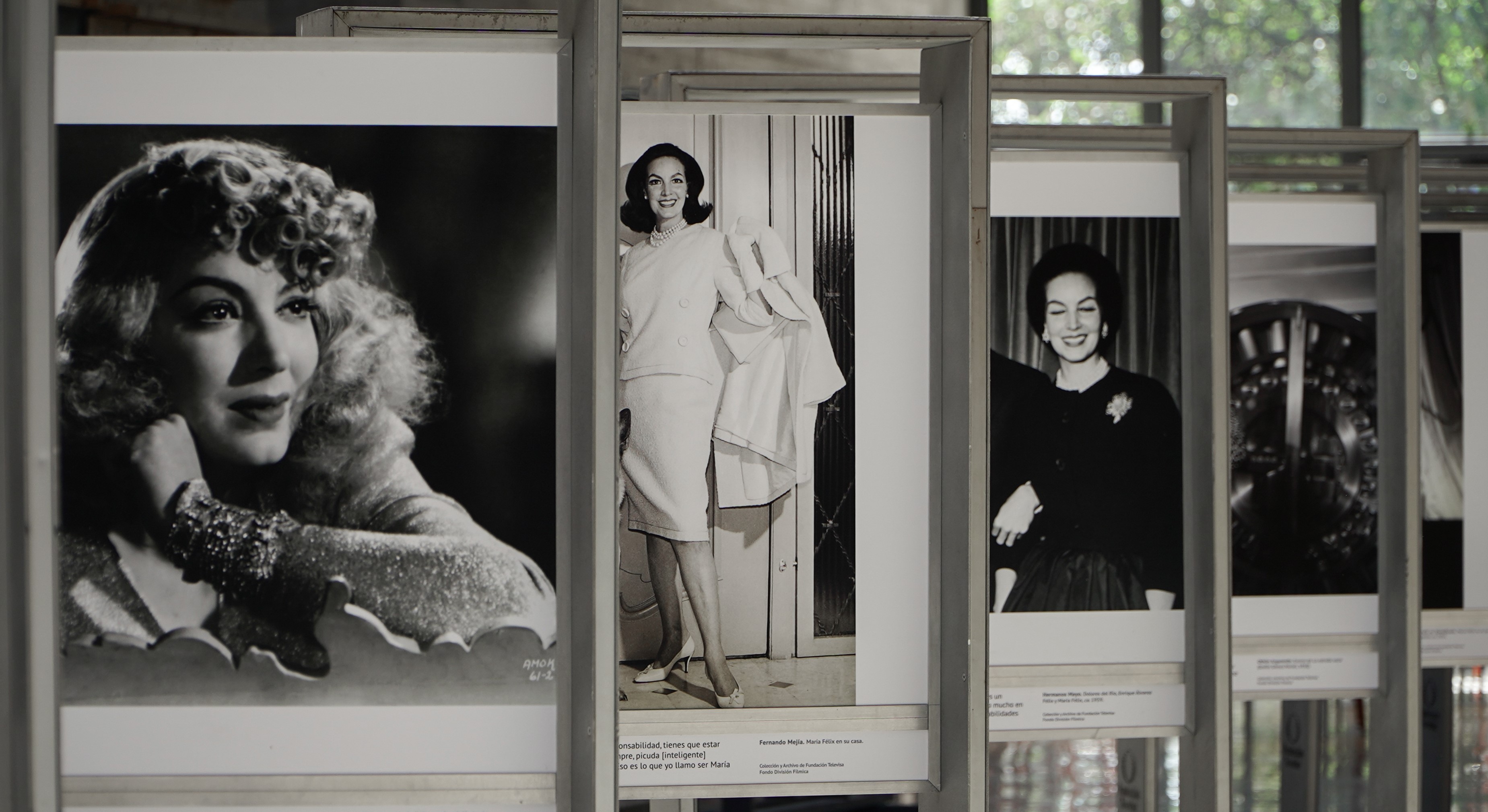 d45b6fd6-1a6a-3a78-f3b8-0f001acf9cf1 (2)