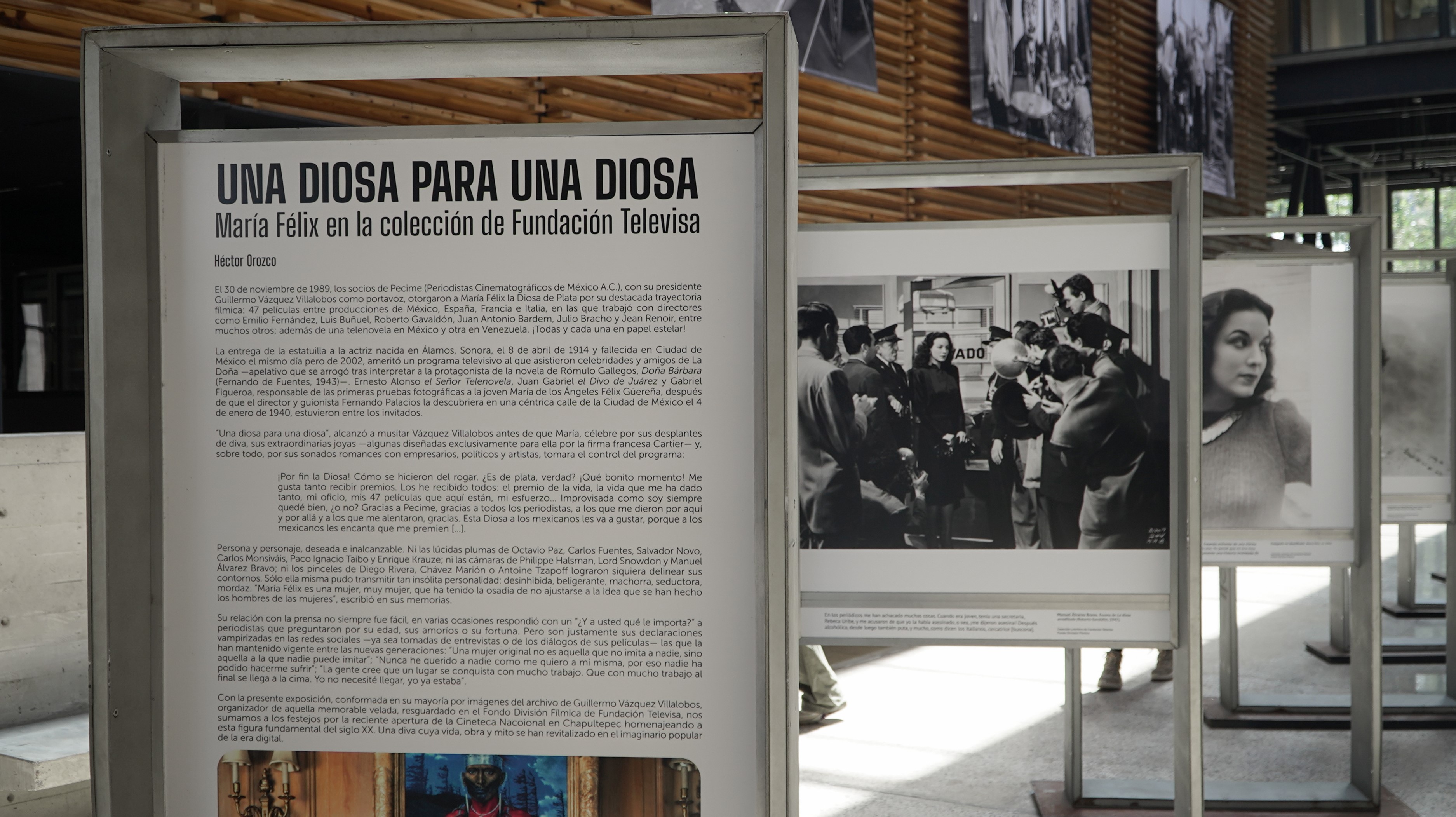 e786a347-4392-33ca-2993-a152dcb811d6 (2)