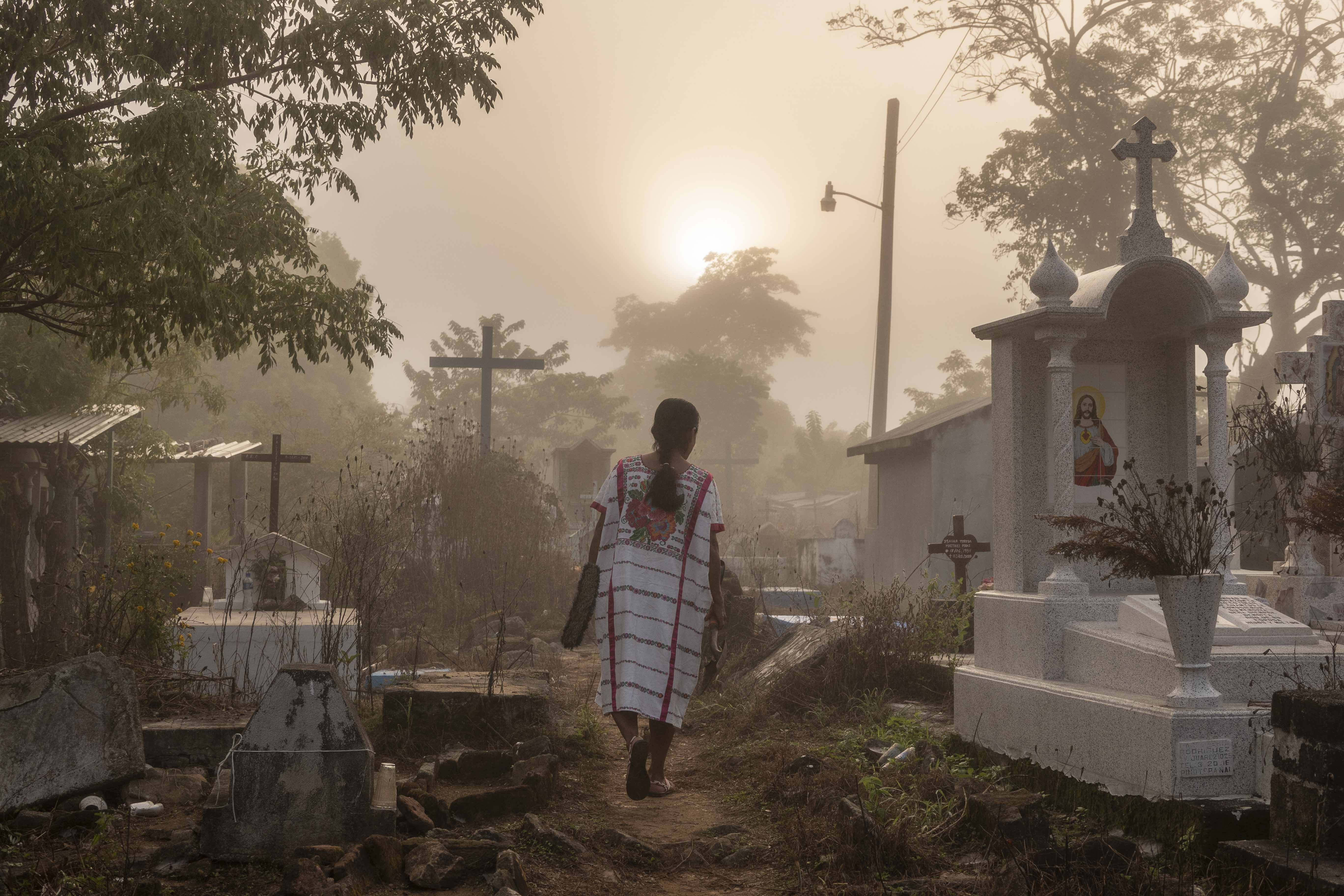 f106aeff-c9d7-5ecb-dfe3-e12a70feff78